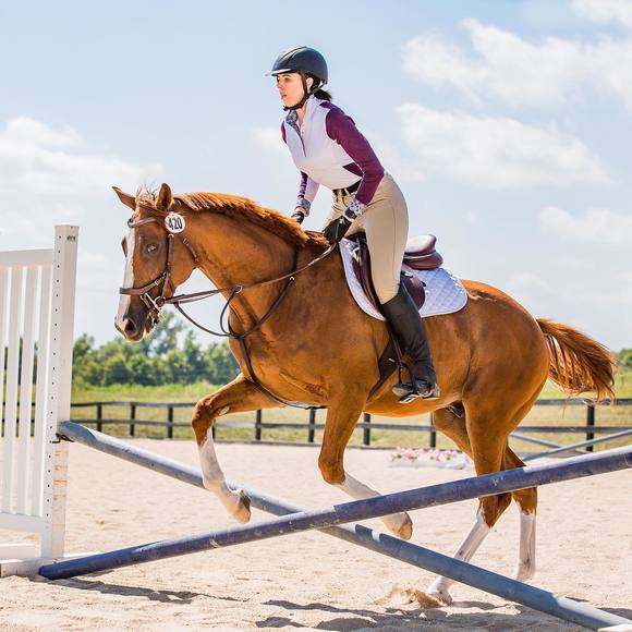 Meet your Posher, Tara - Picture 1 of 1